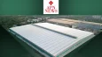 Apn News